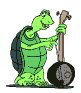 Salvemos las tortugas terrestres